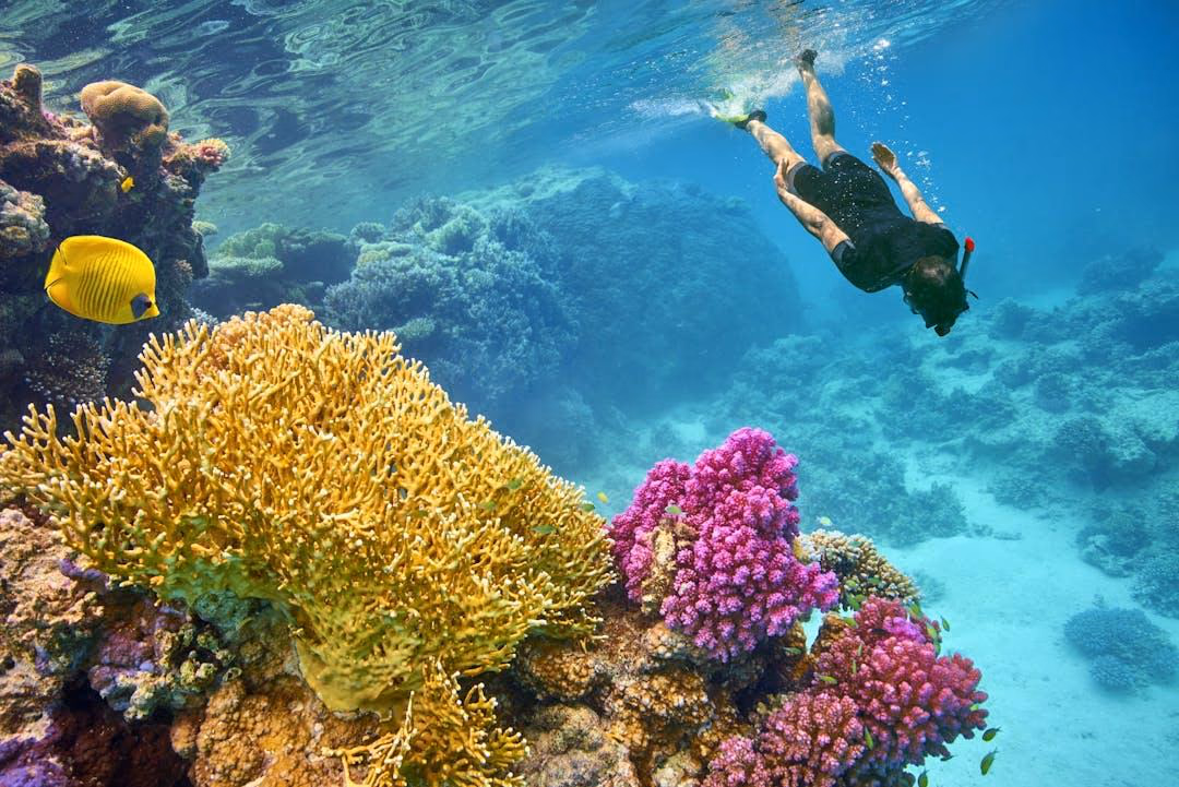 Hurghada Escape – 6 Days of Red Sea Beauty & Adventure